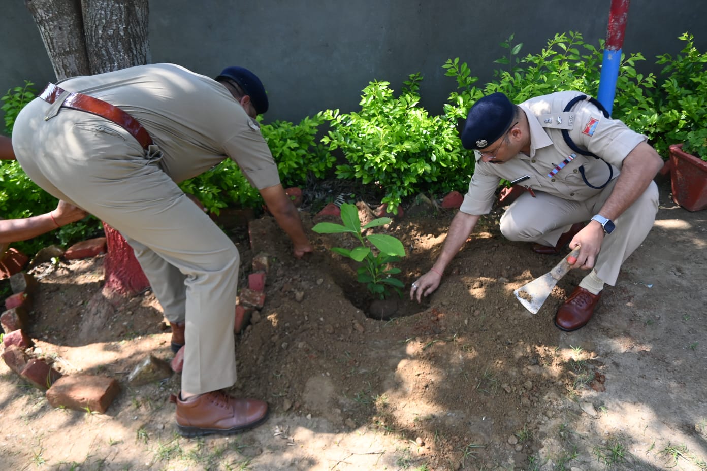 एसएसपी अल्मोड़ा ने हरेला पर्व के अवसर पर किया वृक्षारोपण